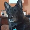 keldog0069